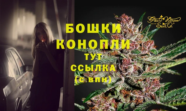 прущие крисы Гусь-Хрустальный