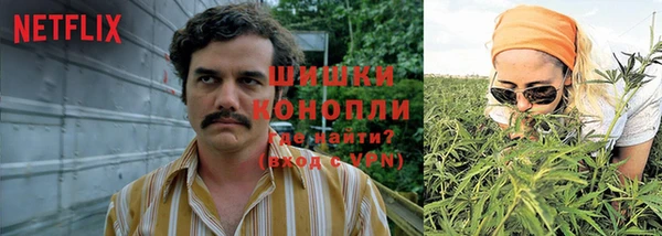 стаф Гусев