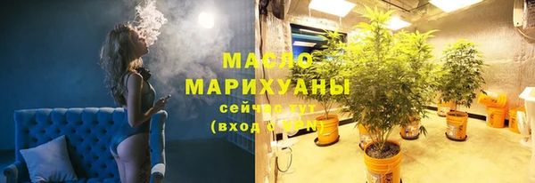 стаф Гусев